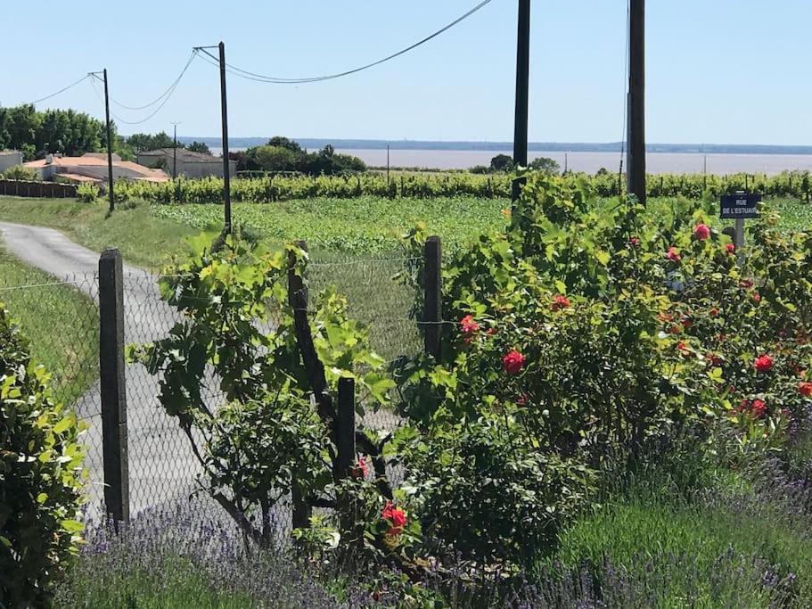Grande Vue A Little Bit Of French Tranquillity Villa Floirac  Exteriör bild